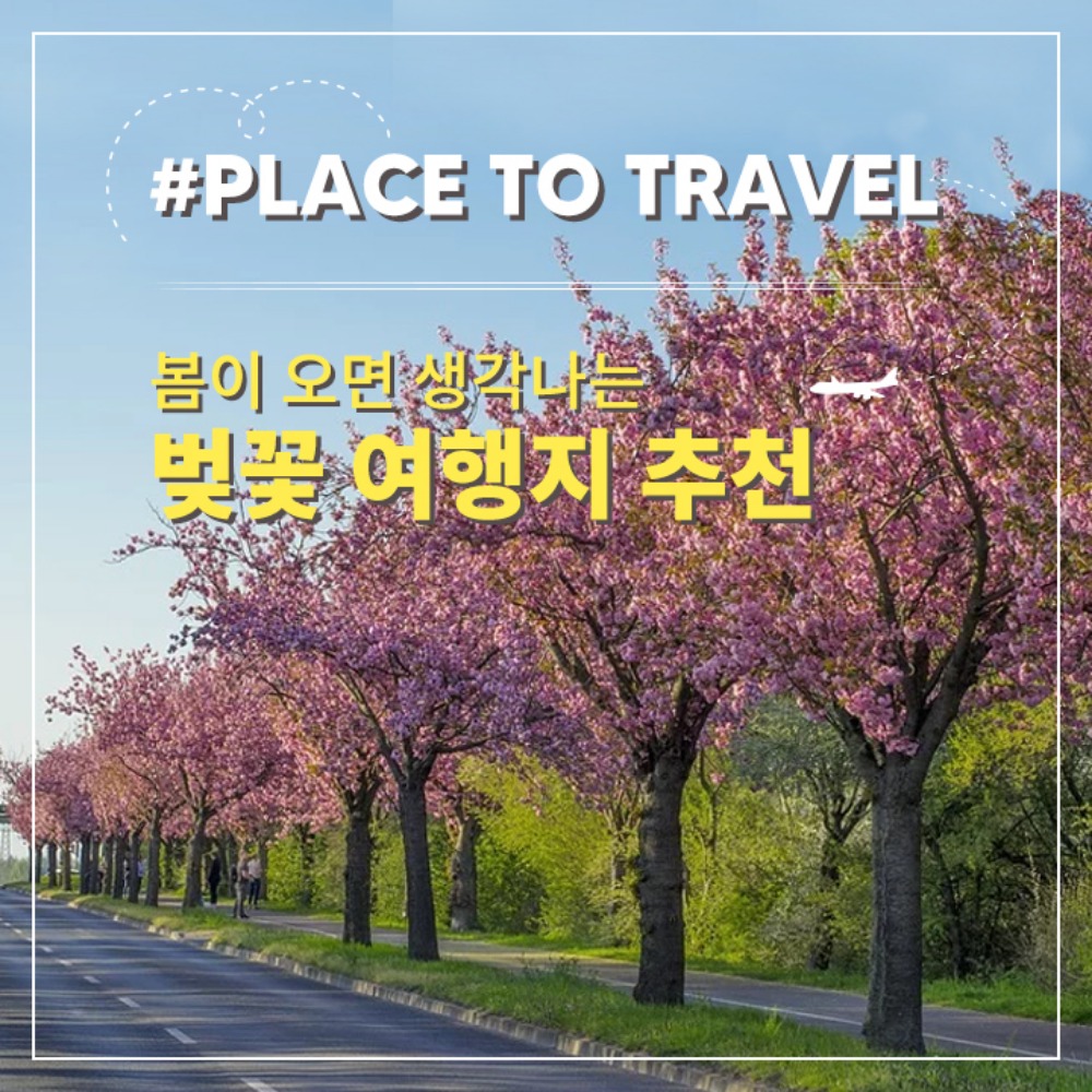 [#TRAVEL] 벚꽃 여행지 추천